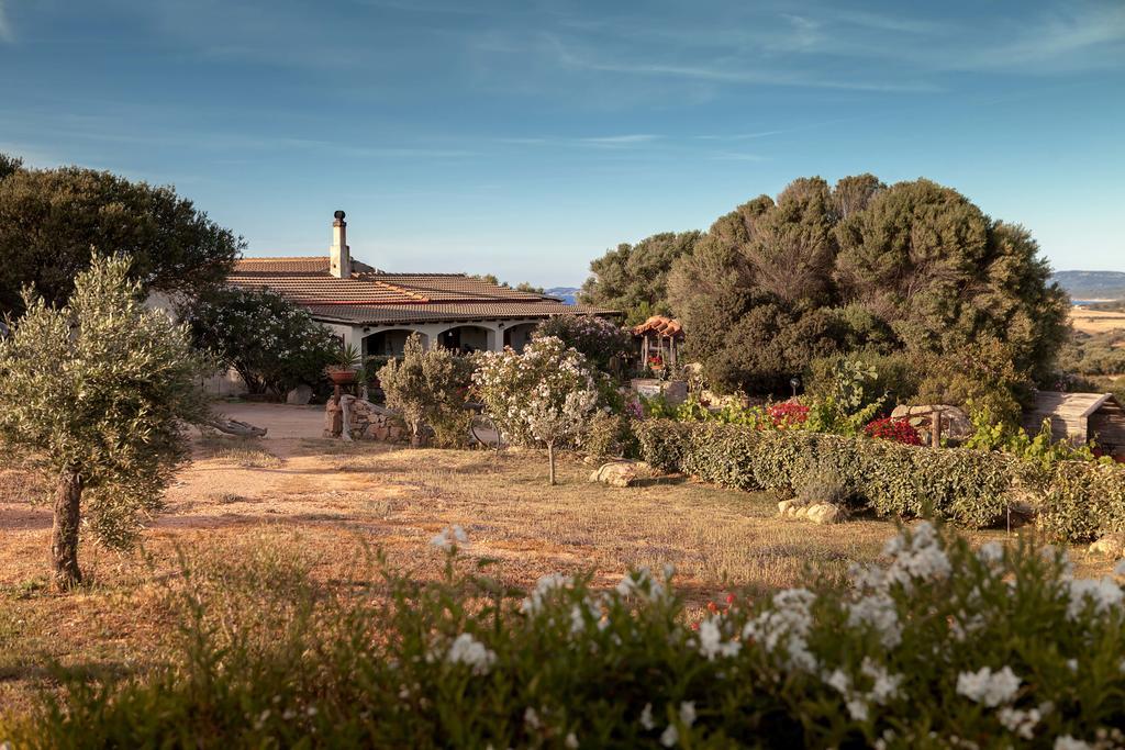 アリエントゥ Agriturismo Nuraghe Tuttusoniヴィラ エクステリア 写真