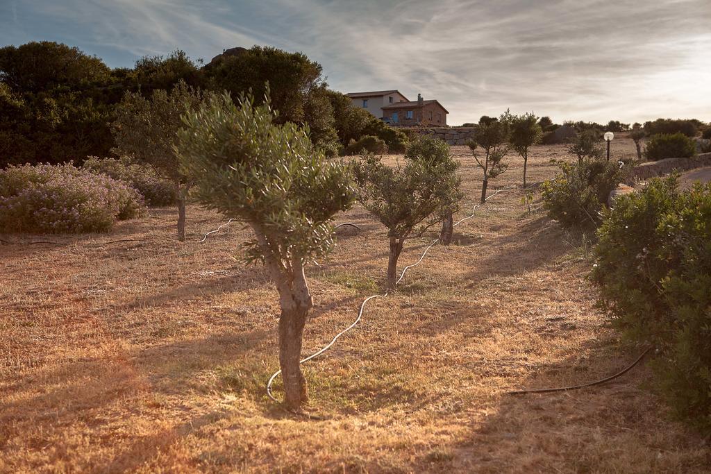 アリエントゥ Agriturismo Nuraghe Tuttusoniヴィラ エクステリア 写真